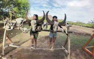6 Best Tours to Komodo National Park